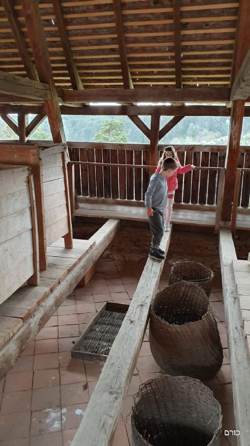 רומניה פסח 2019